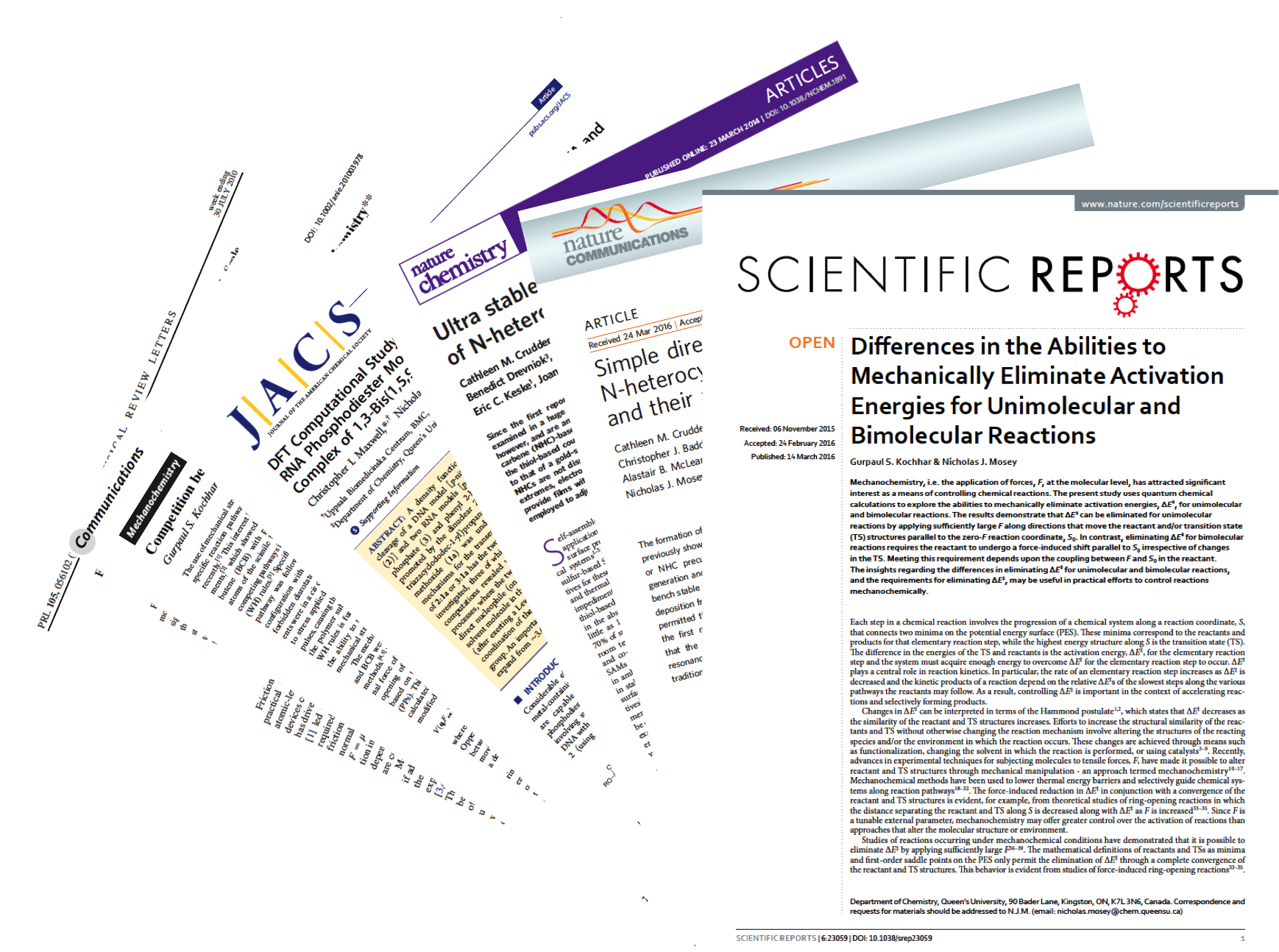 “what Sets [their] Publications Apart From The Broad - Brochure (1738x1294), Png Download