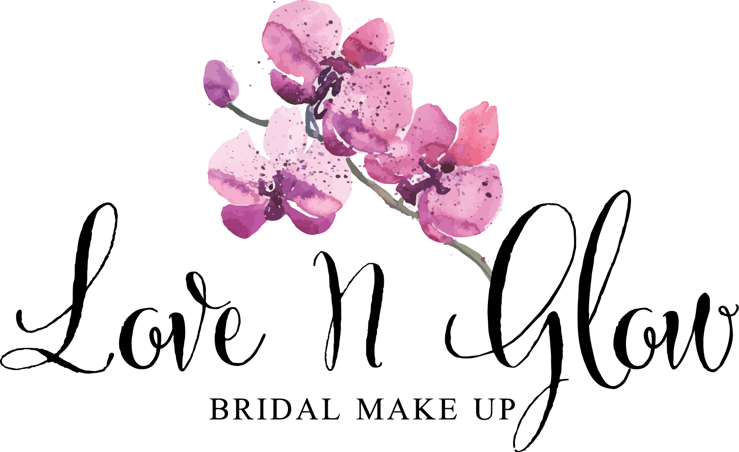 About - Moth Orchid (1504x920), Png Download