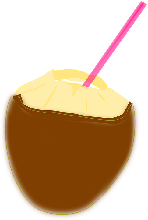 Png Kokúszdió (486x720), Png Download