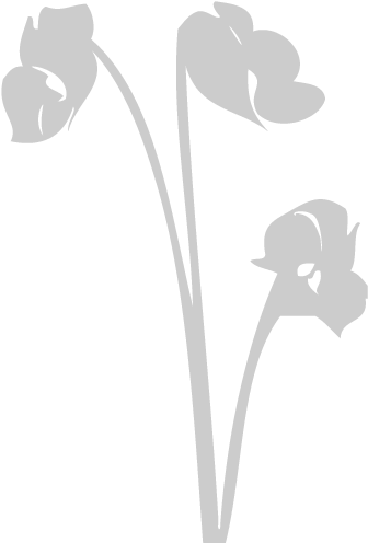 Silhouette (596x842), Png Download