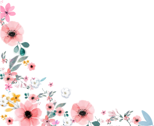 Flowers Sticker - Daisy (1024x1024), Png Download