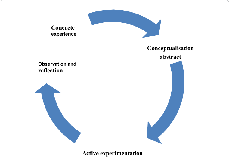Cycle Action Reflection - 3 Stage Life Cycle Dragonfly (761x521), Png Download