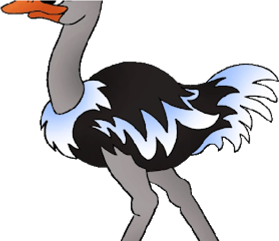 Ostrich Sentence (640x480), Png Download