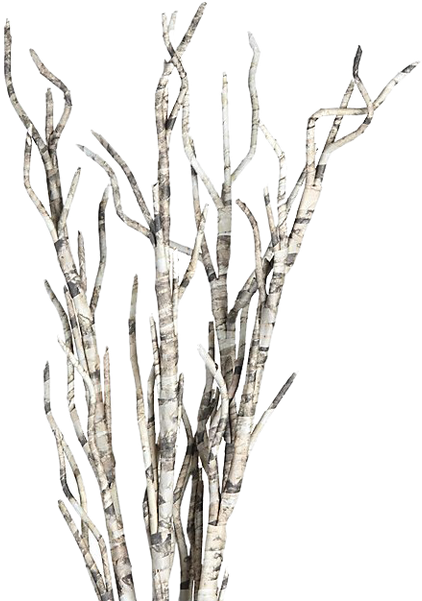 Twig From Paper (600x600), Png Download