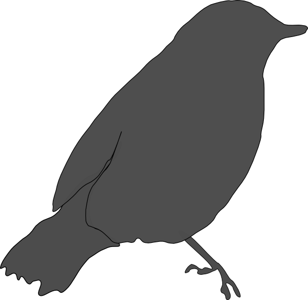 How To Set Use Gray Bird Svg Vector (600x583), Png Download