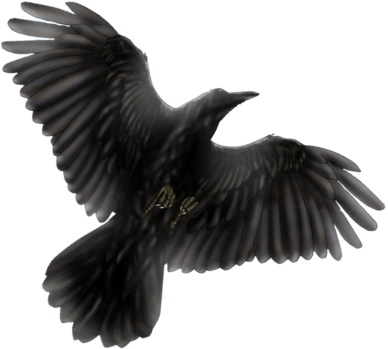 Flippedblackbird Newblackbird Flippedblackbird - Eurasian Magpie (1097x823), Png Download