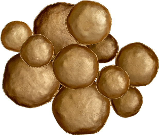 Wall Art - Circle (750x750), Png Download
