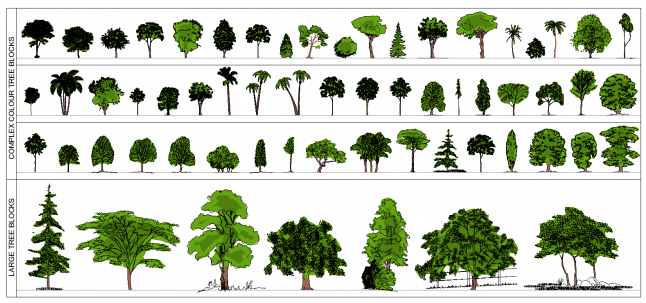 Plan And Elevation Of Trees (645x645), Png Download