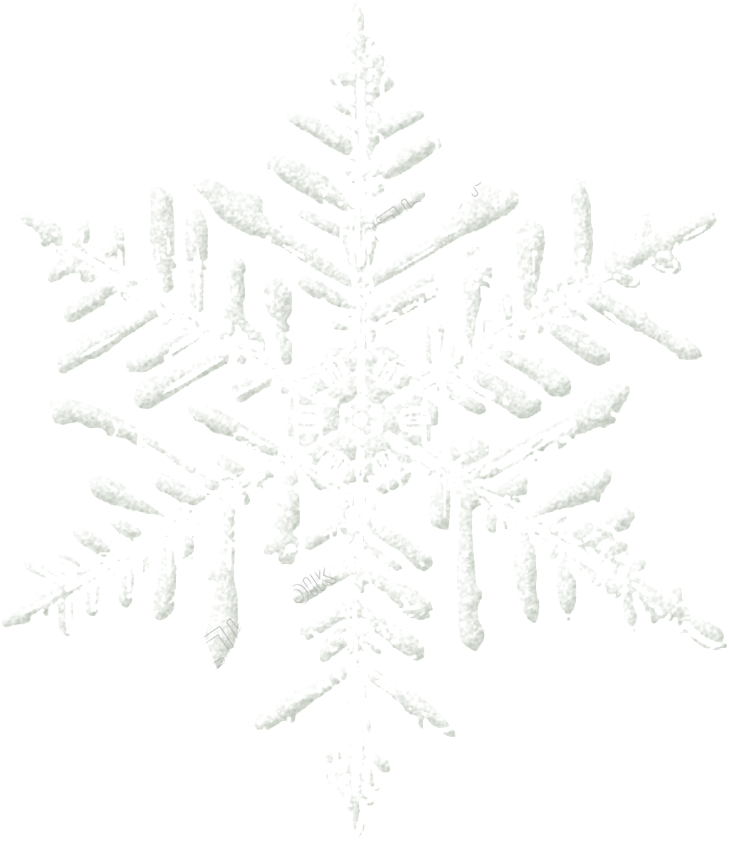 White Snowflake Png - Wilson Bentley Snowflake (1024x1187), Png Download