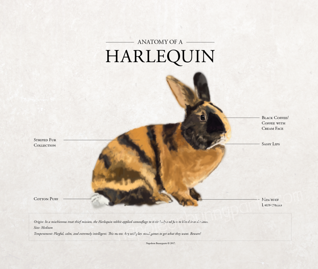 Quail Distributing (1023x866), Png Download