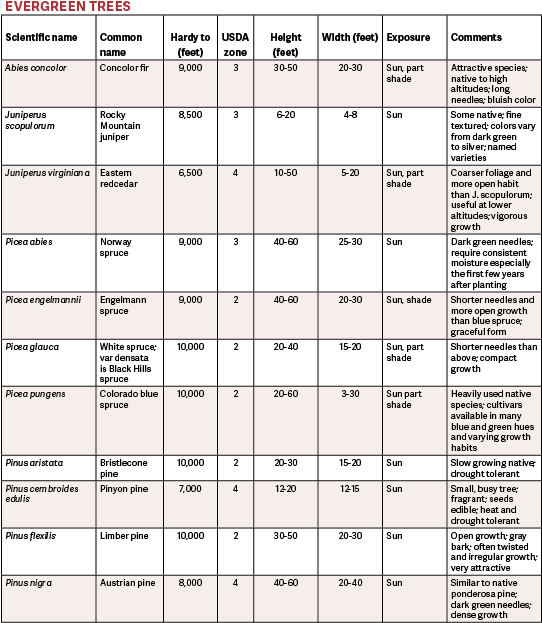 Table - List Of All The Trees (541x632), Png Download