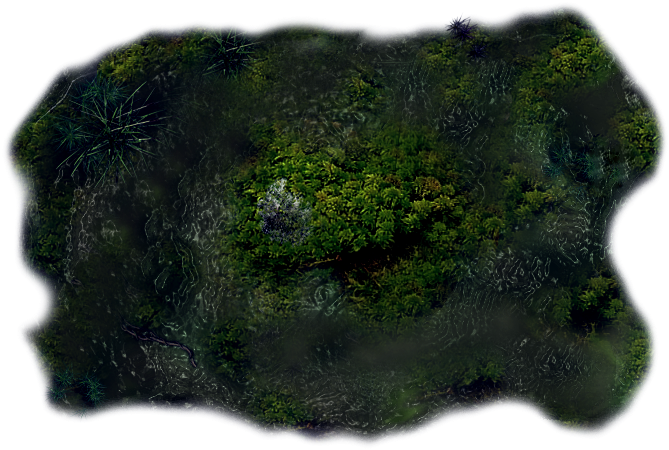 06 Feb 2009 - Moss (727x498), Png Download