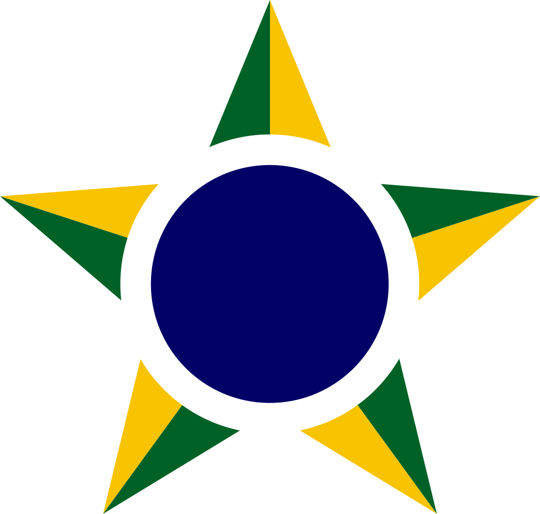 Acf Fiorentina Wikipedia - Brazilian Air Force Logo (1076x1024), Png Download
