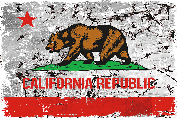 California Bear Flag Republic - California Republic (675x675), Png Download