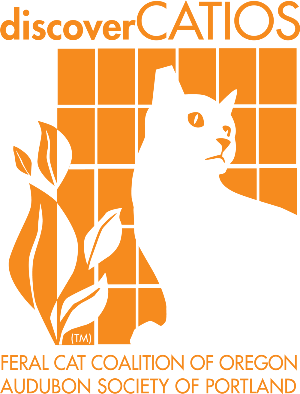 Discovercatio 3 No White Color Otln (1000x1311), Png Download