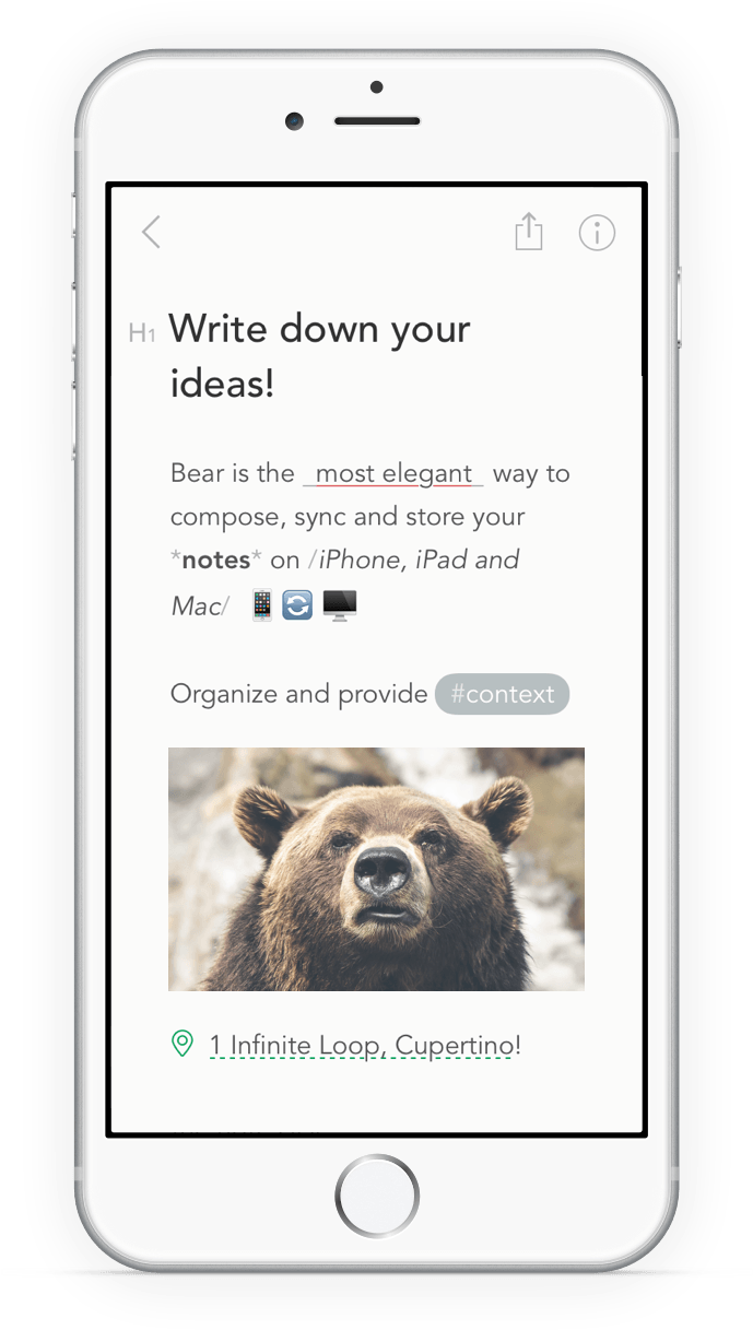Bear - Grizzly Bear (688x1228), Png Download