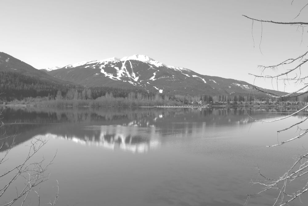Banner Photo Screened (1000x670), Png Download