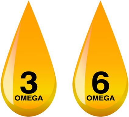 Omega 3 - Omega 3 E 6 Png (1000x400), Png Download
