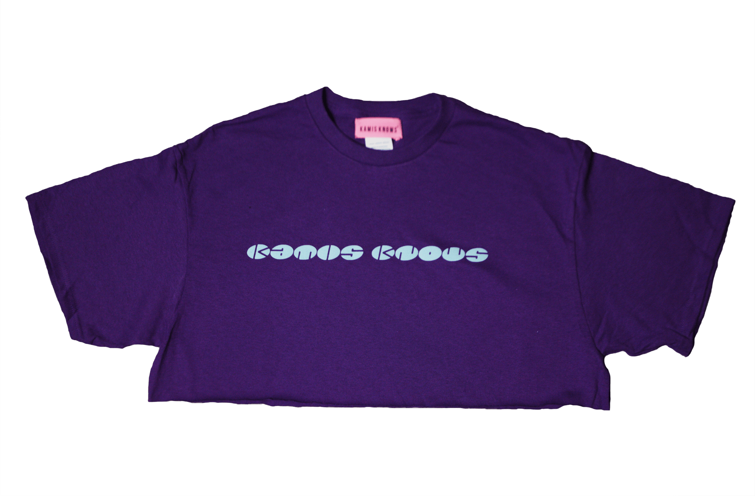 Kk 80s Purple Crop Top - Purple Crop Top Transparent Png (2400x3450), Png Download