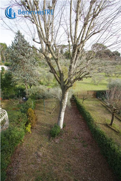 Foto/1442544f 714773 Vendita Appartamento Firenze Zona - Canoe Birch (1024x768), Png Download