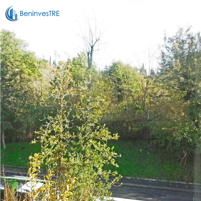 Foto/1514786f 272999 Vendita Appartamento Firenze Zona - River Birch (1024x768), Png Download
