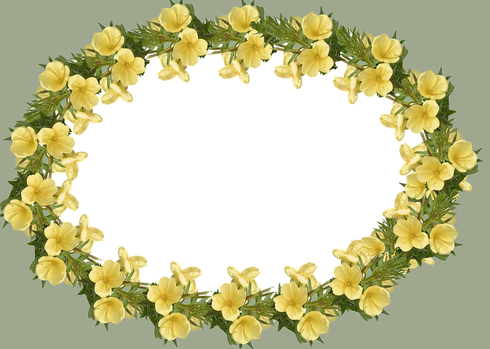 Frame, Border, Evening Primrose - Pixabay Frame Flower Png (960x685), Png Download