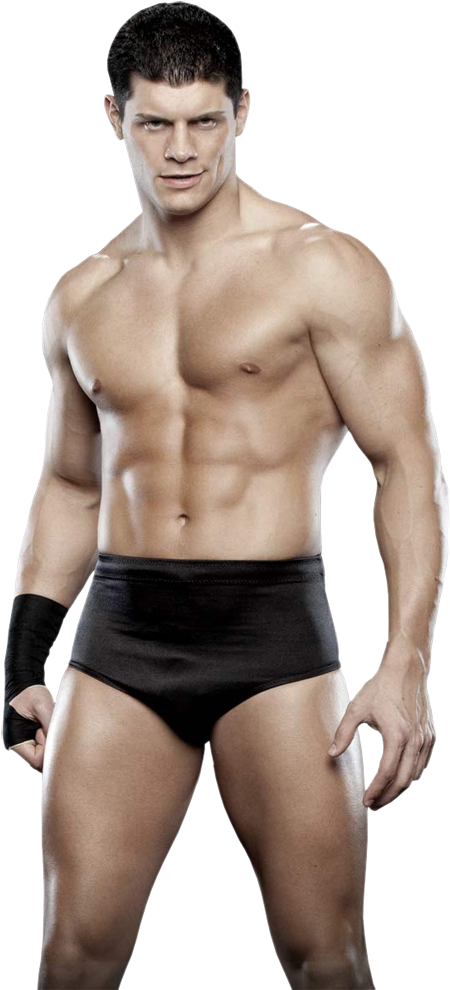 Cody Rhodes "the Grotesque One" - Dashing Cody Rhodes (493x995), Png Download