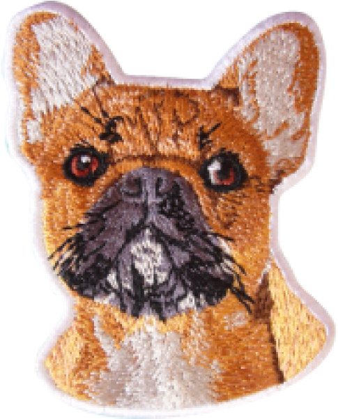 Griffon Bruxellois (600x600), Png Download