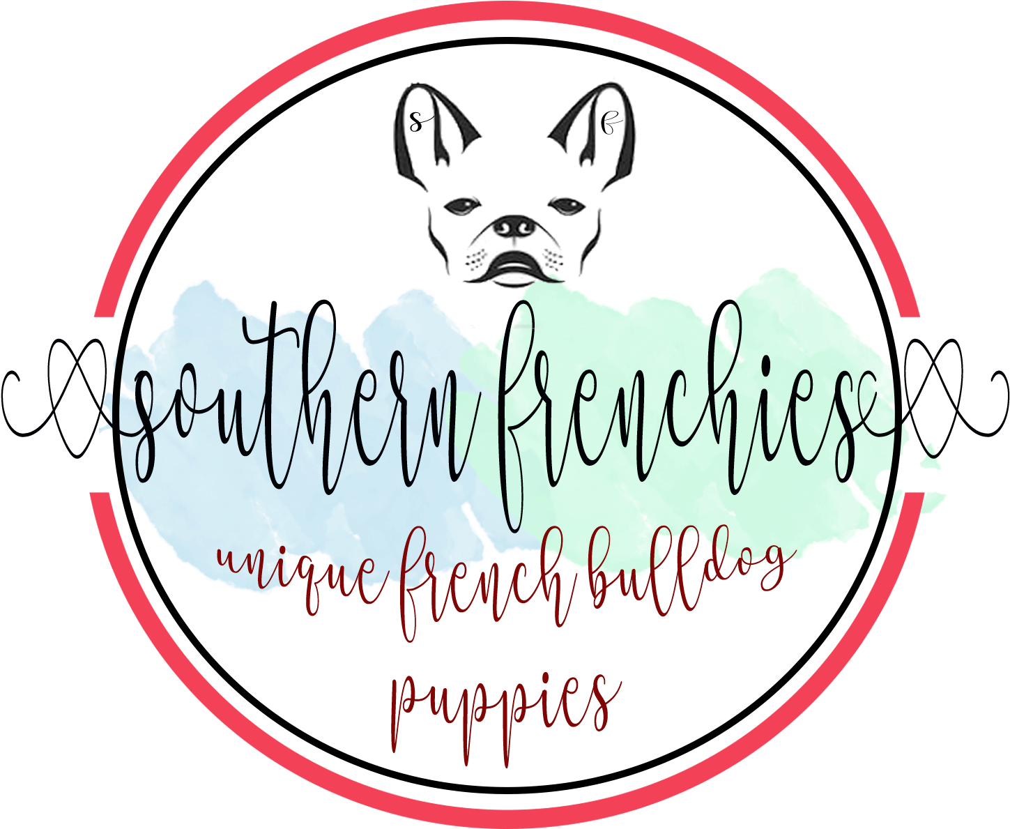 French Bulldog (2560x1440), Png Download