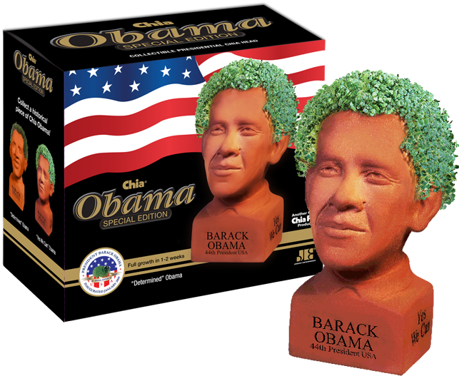 Can George W - Chia Obama (695x569), Png Download