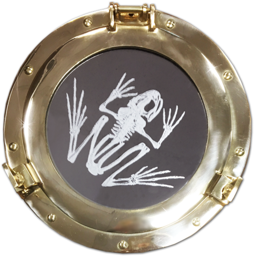 Emblem (600x600), Png Download