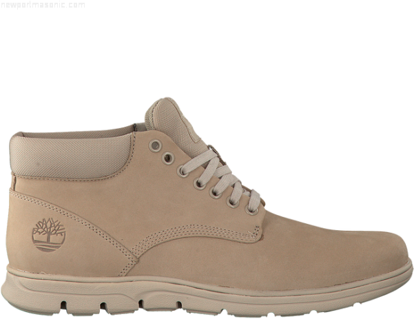 Hiking Shoe (600x600), Png Download