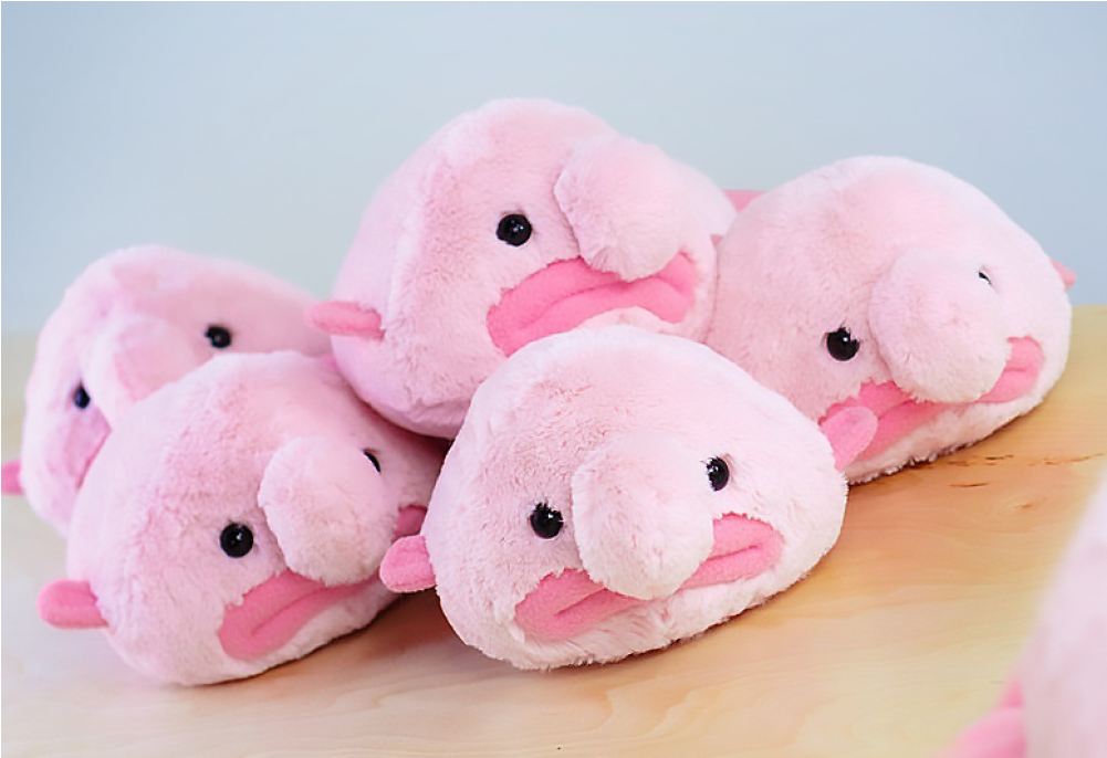 Рыба-капля - Mini Blobfish Plush (1000x1000), Png Download