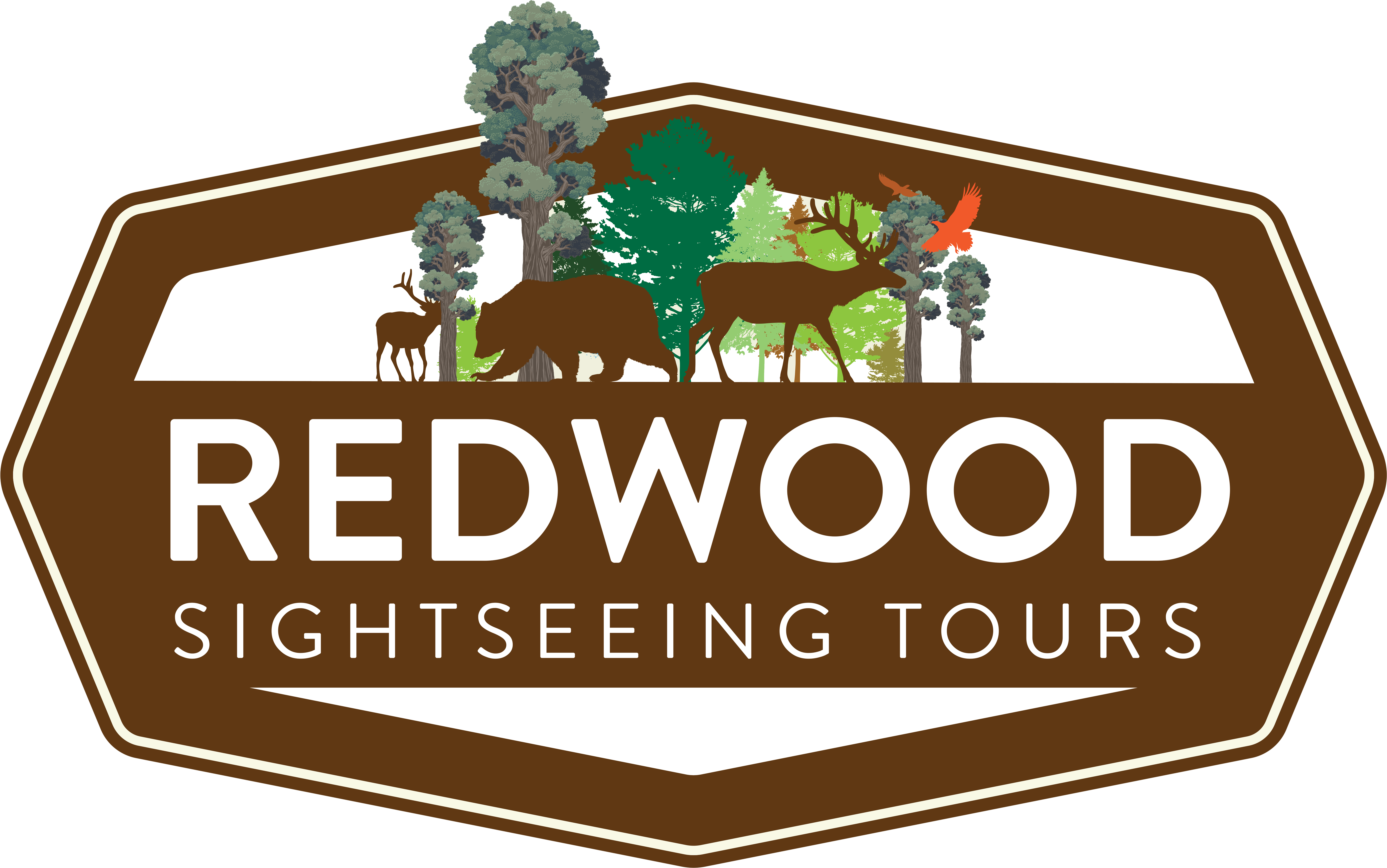 Redwood Sightseeing Tours (9600x6000), Png Download