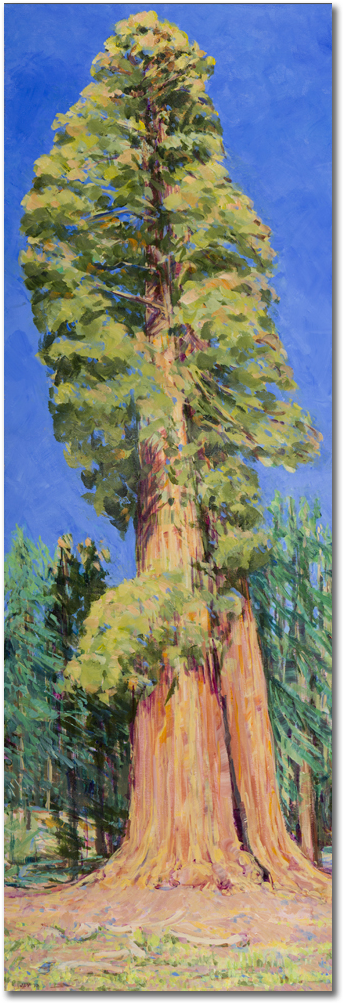Sequoia & Kings Canyon National Parks - Redwood (1024x1024), Png Download