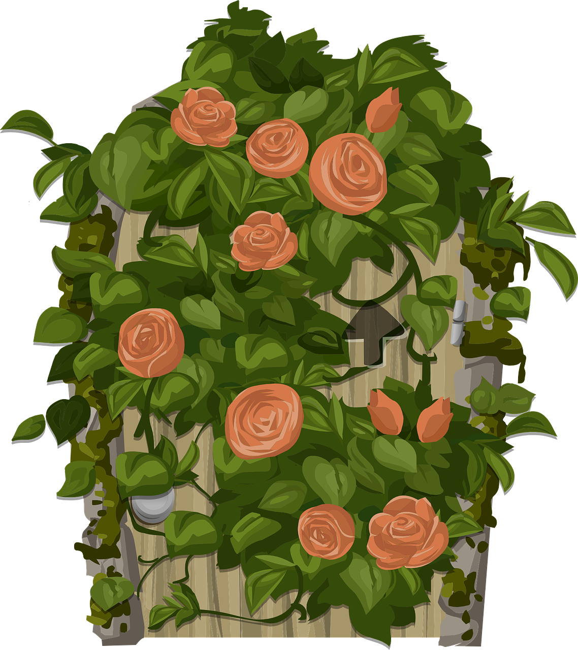 Climbing Plants Clipart Png (1138x1280), Png Download