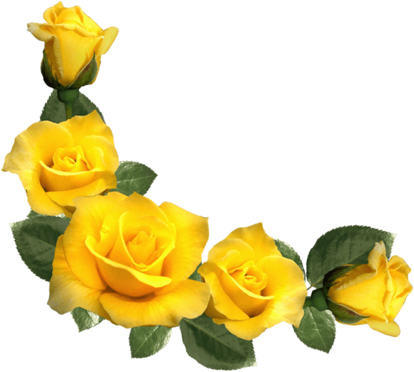 Free Png Beautiful Yellow Roses Decor Png Images Transparent - Yellow Rose Border Png (850x765), Png Download