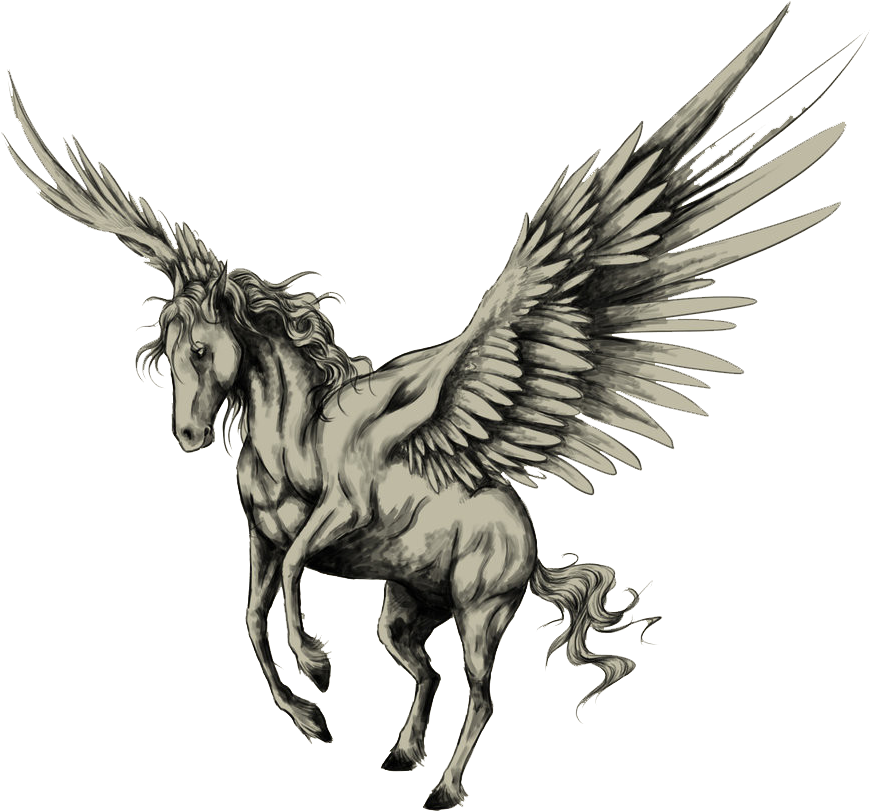 Pegasus Png Image Transparent Background - Tattoo Pégasus (900x867), Png Download