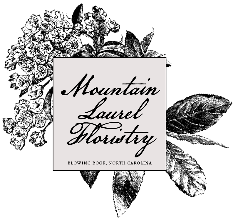 Mountain Laurel Floristry - Calligraphy (1366x768), Png Download