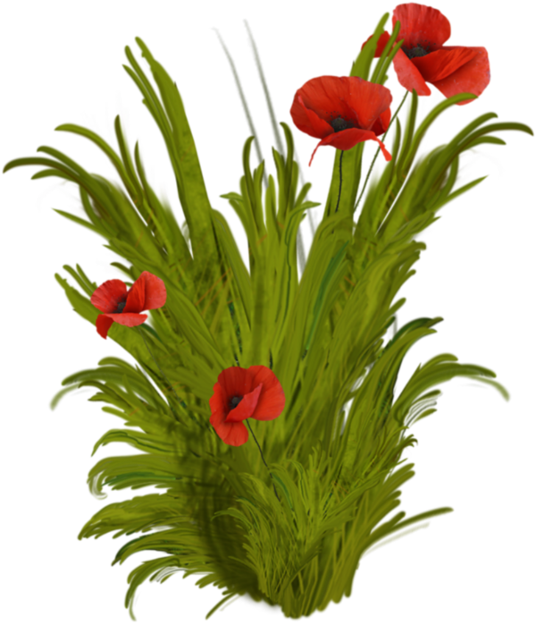 Flower Vase Png - Buon Compleanno Giada Gif (600x699), Png Download