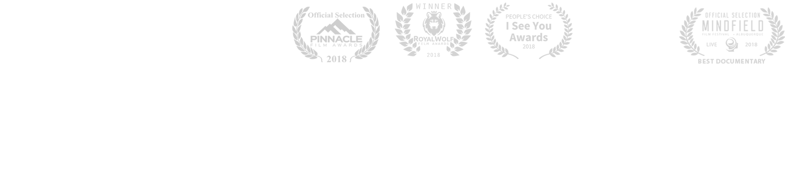 -steve Byrne Executive Director Freep Film Festival - Illustration (2532x659), Png Download