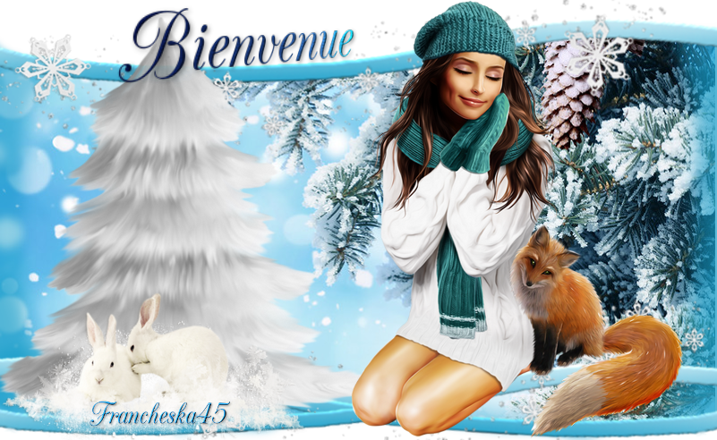 Bienvenue A Vous Tous - Wallpaper (801x492), Png Download