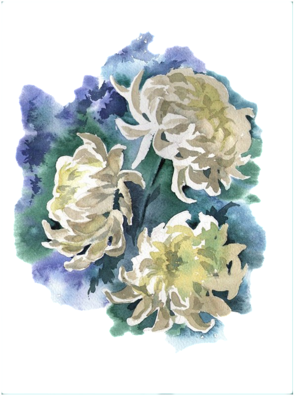 Fresh Ink Painting Hand Painted Chrysanthemum Decorative - Хризантемы Акварелью (1024x1372), Png Download