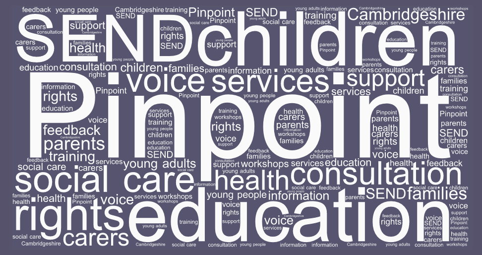 Special Needs Word Cloud - Striving For Excellence (972x514), Png Download