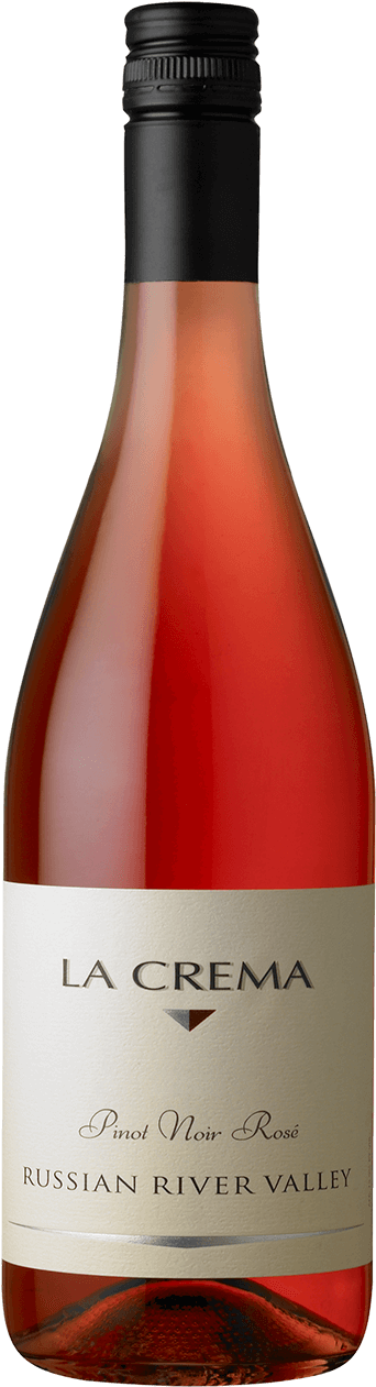 Friend, In Haiti - Champagne (384x1280), Png Download