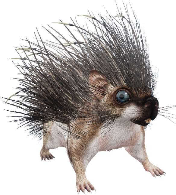 Living Bouquet - Punxsutawney Phil (600x684), Png Download