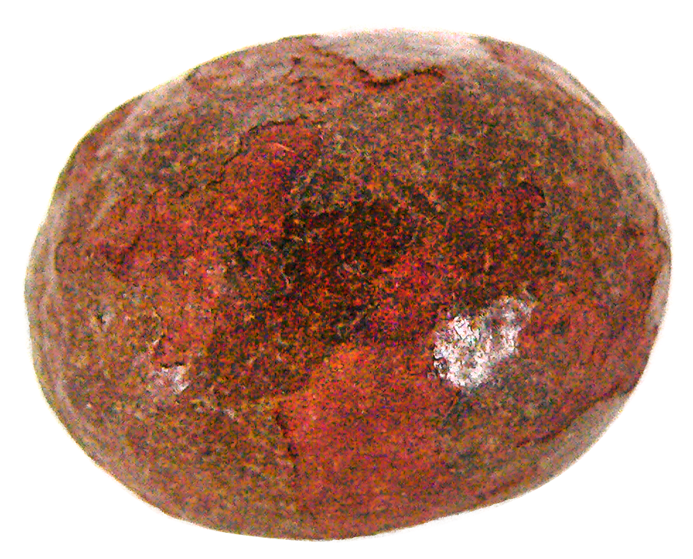 28 Am 274930 Grassbezoar 8/22/2016 - Avocado (1278x1078), Png Download