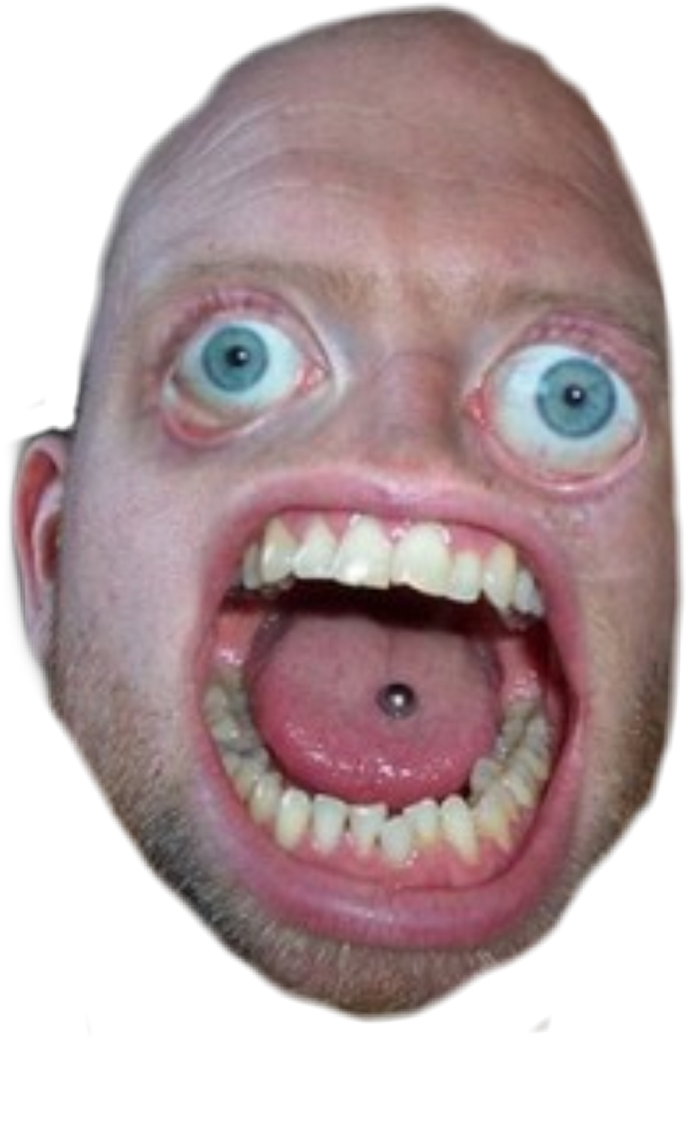 Bald Sticker - Stupid Man In The World (1024x1640), Png Download