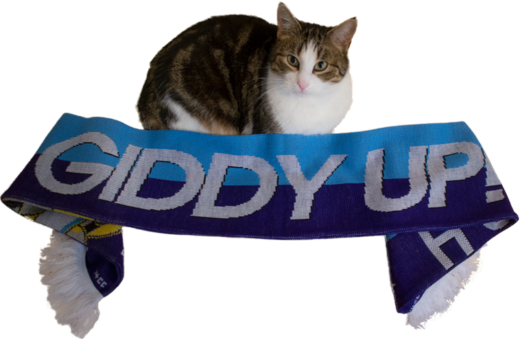 4chan Cup, 4chan Cup Scarf, Barely Pony Related, Cat, - Giddy Up Scarf (758x494), Png Download