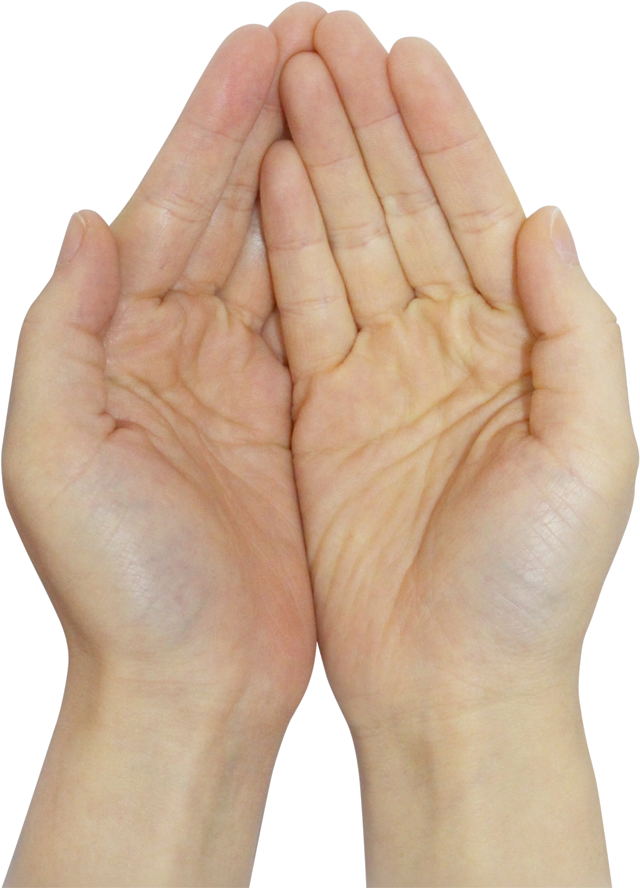 Praying Hands Image Purepng Free Transparent Image - Wood (3456x2500), Png Download